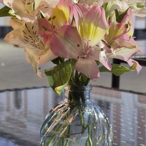 Photo #13728597