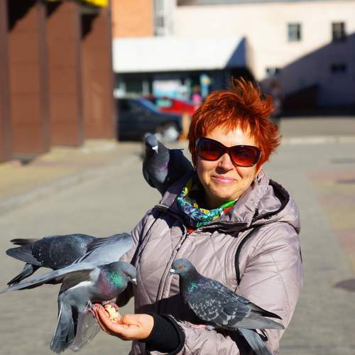 Photo #13728637
