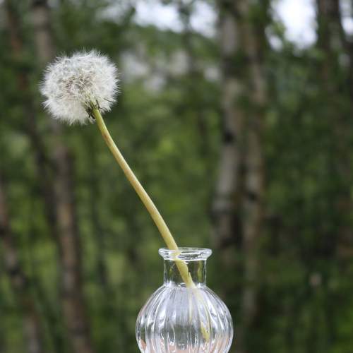 Photo #13728667