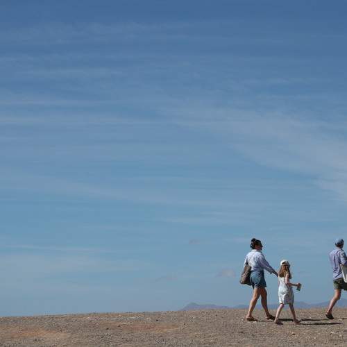 Photo #13728678