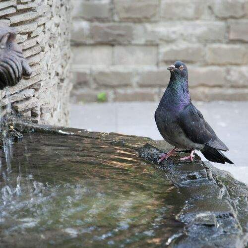 Photo #13728728
