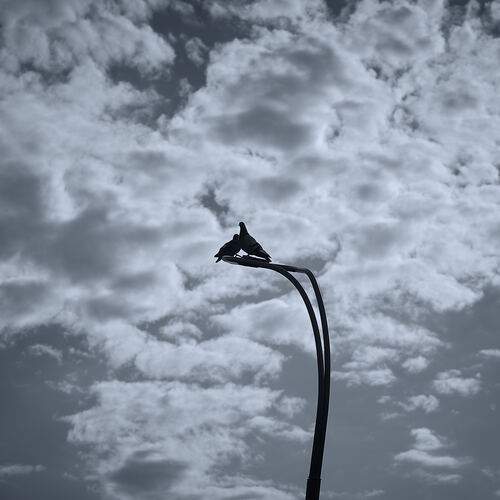 Photo #13728733