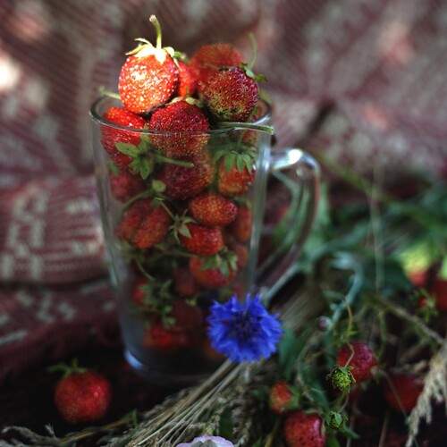 Photo #13728754