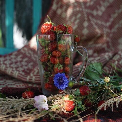 Photo #13728755