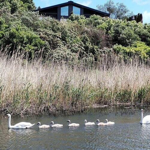 Photo #13728767