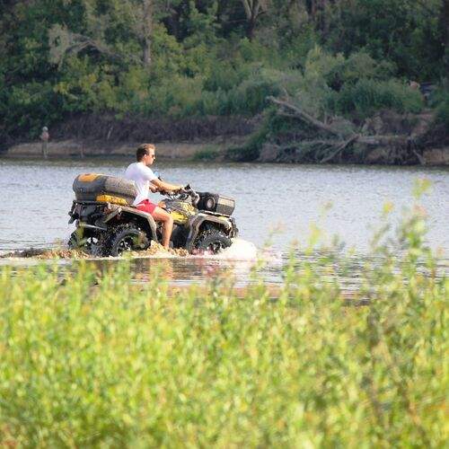 Photo #13728785