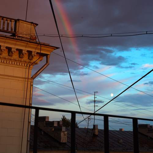Photo #13728796