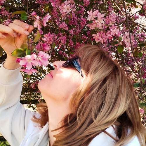 Photo #13728799