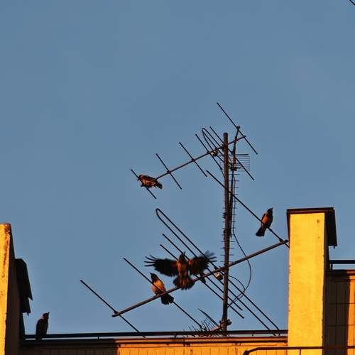 Photo #13728945