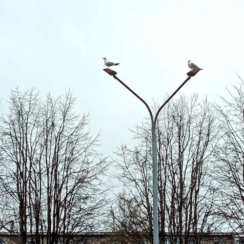 Photo #13728948