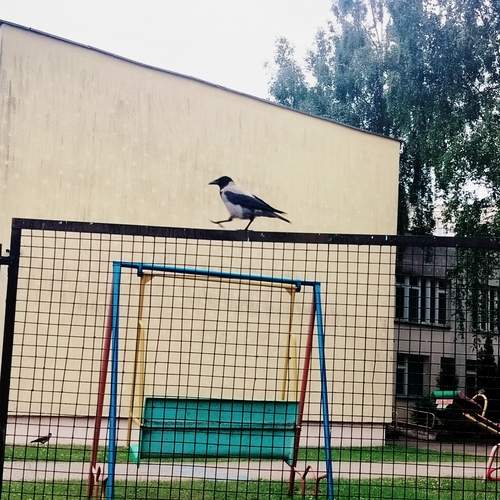 Photo #13728961