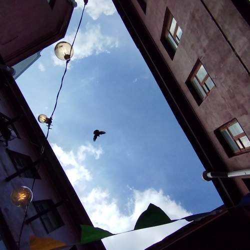 Photo #13728963