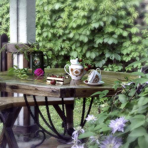 Photo #13729036