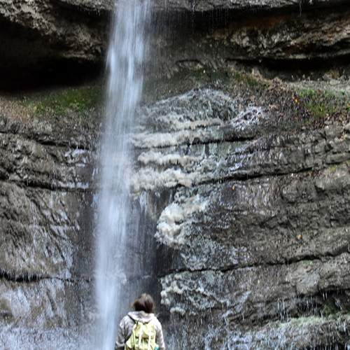 Photo #13729048
