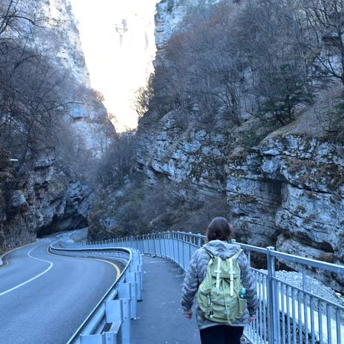 Photo #13729052