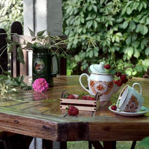 Photo #13729059
