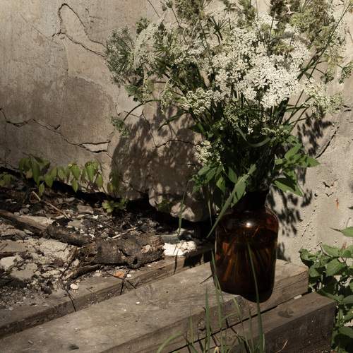 Photo #13729071