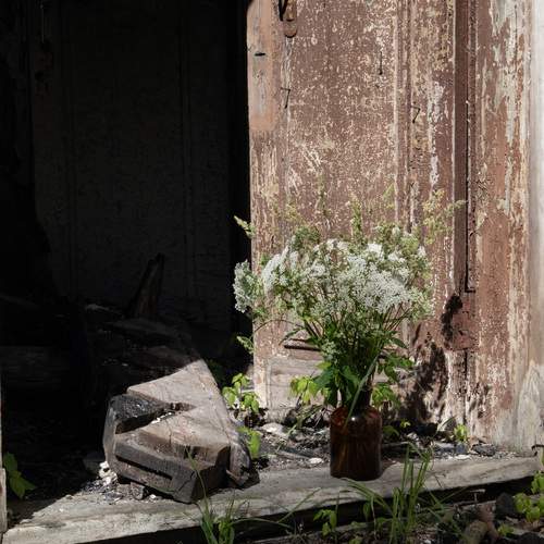 Photo #13729072