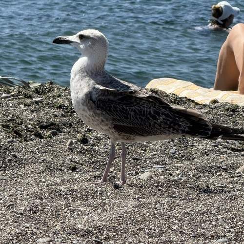 Photo #13729096