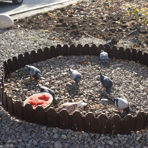 Photo #13729154