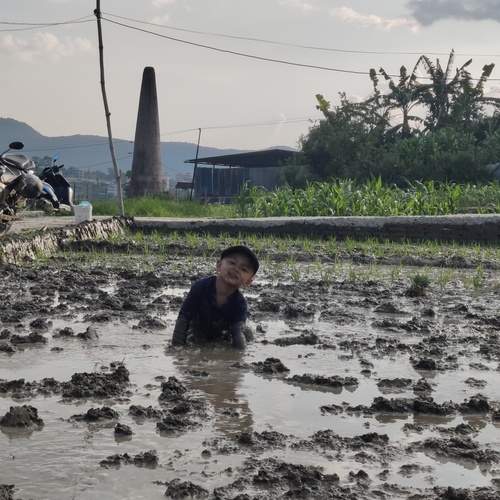 Photo #13729223