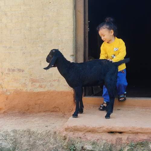 Photo #13729224