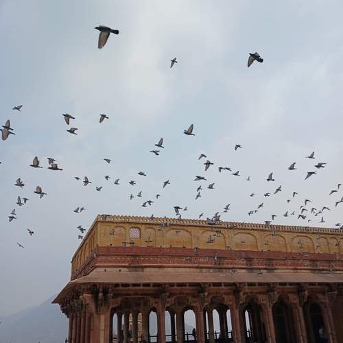 Photo #13729341