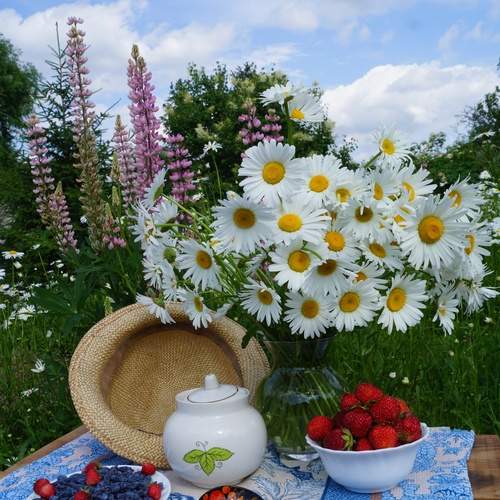 Photo #13729352