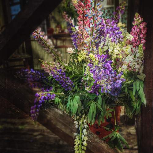 Photo #13729361