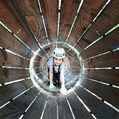 Photo #13729396