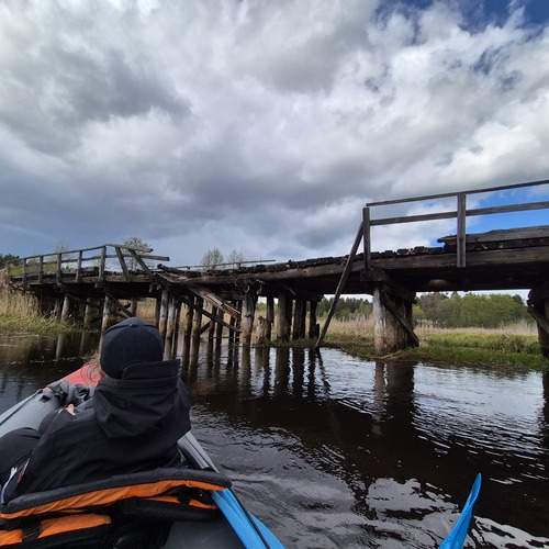 Photo #13729433