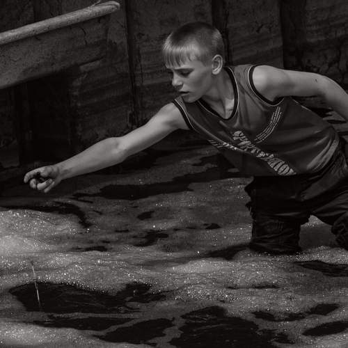 Photo #13729468