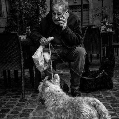 Photo #13729504
