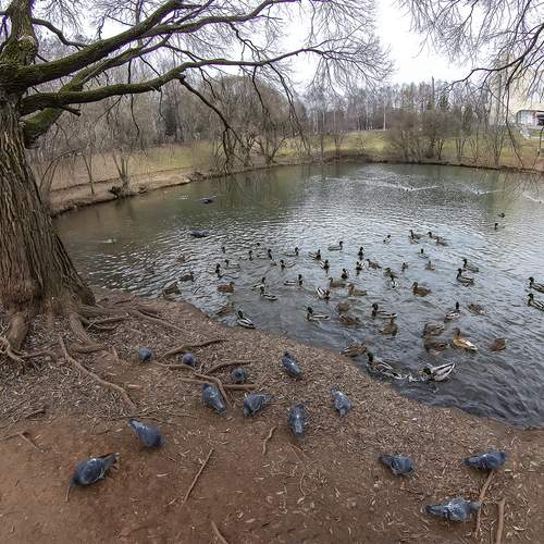 Photo #13729674