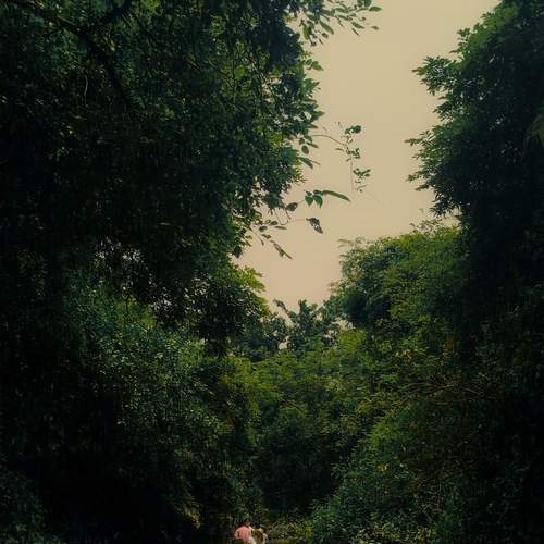 Photo #13729699