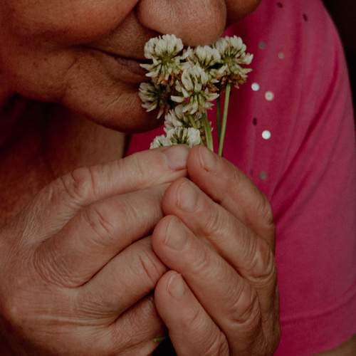 Photo #13729788