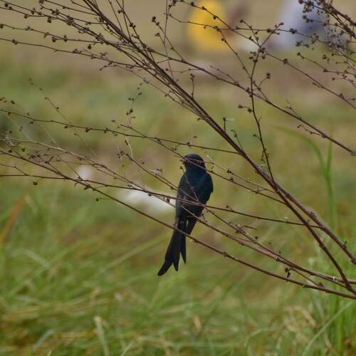 Photo #13729840