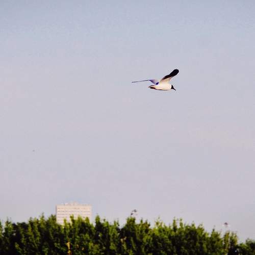 Photo #13729881