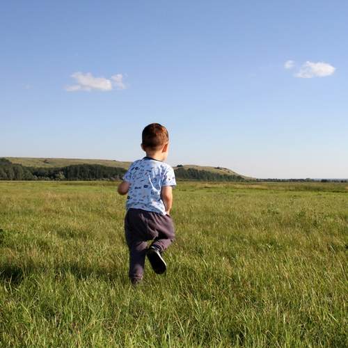 Photo #13729892
