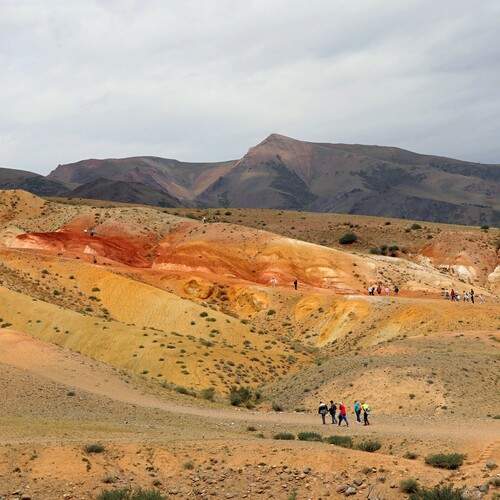 Photo #13729941