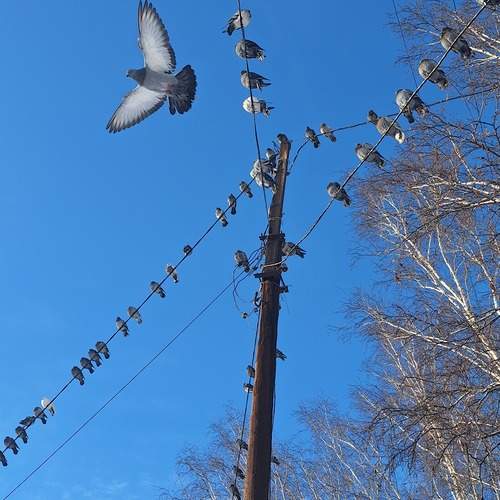 Photo #13729969