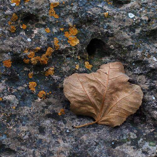 Photo #13730091