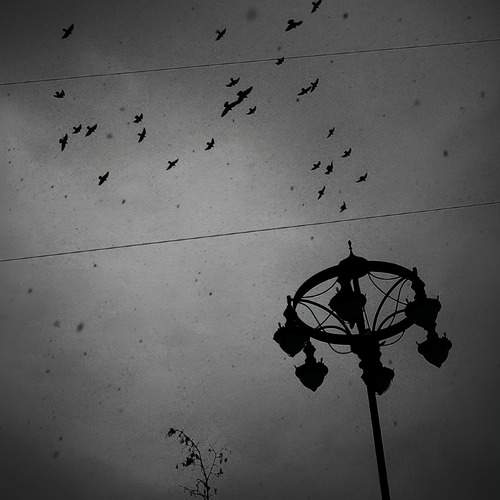 Photo #13730108