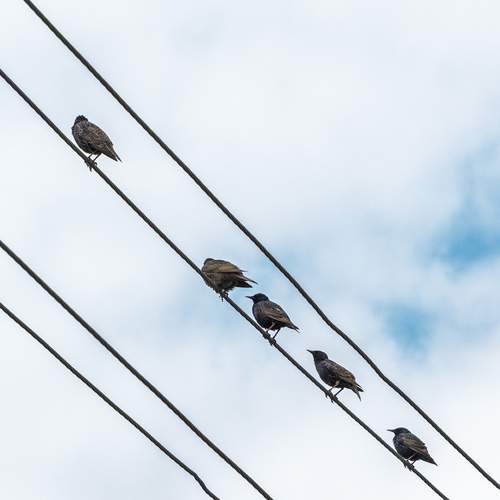 Photo #13730135