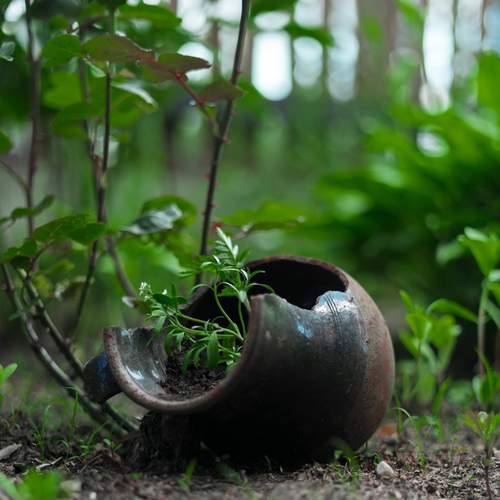 Photo #13730139