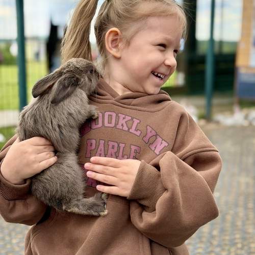 Photo #13730148