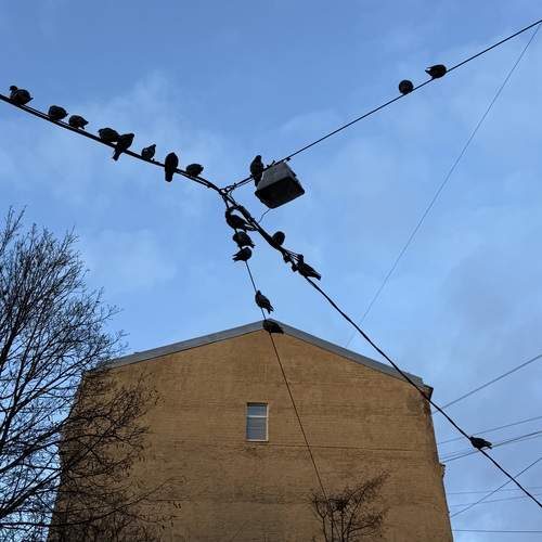 Photo #13730208