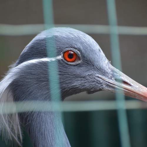 Photo #13730263