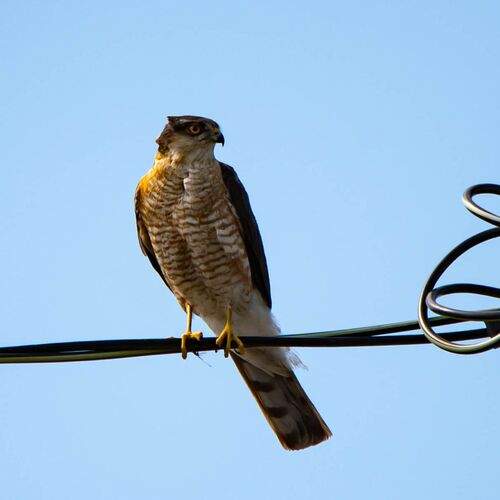 Photo #13730352