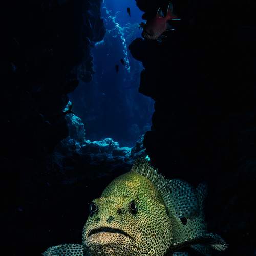 Photo #13730413